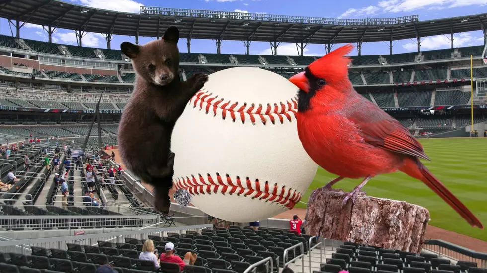 What the MLB 12 Team Playoff means for the Cardinals & Cubs