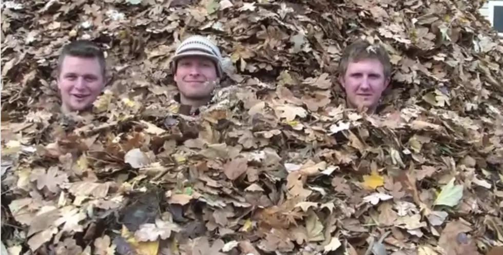 Jumping Into the Mother of All Leaf Piles!