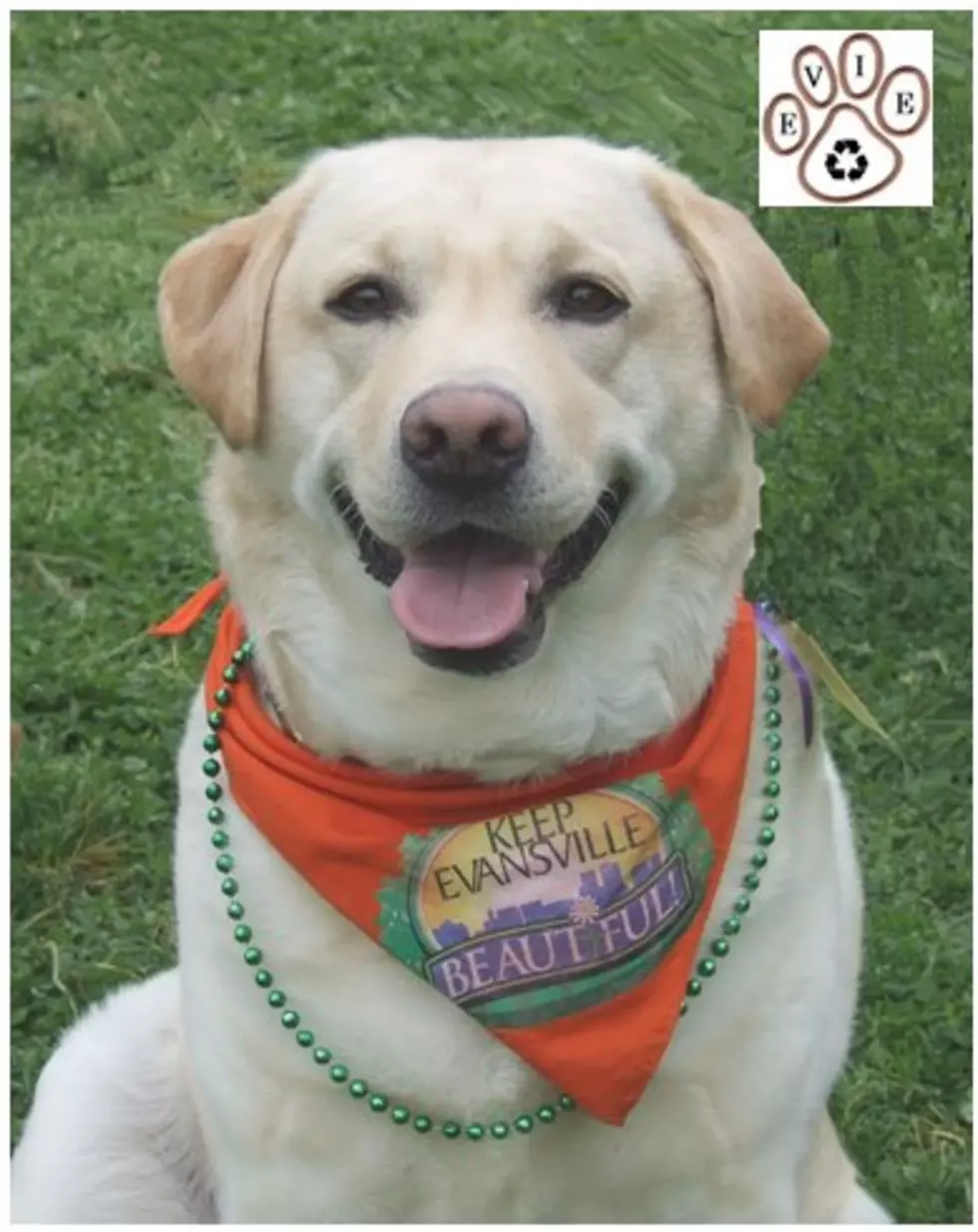 Keep Evansville Beautiful Mascot Evie Sue in Critical Condition