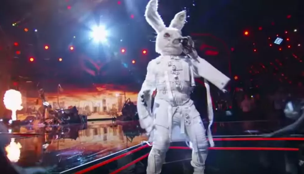 The Masked Singer- Possible Celebrities Under The Masks