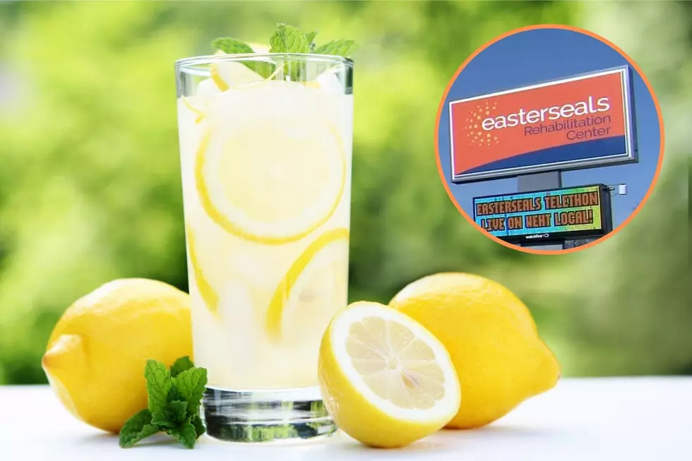 26th Annual Easterseals LemonAID Stand Fundraiser Coming June 2nd