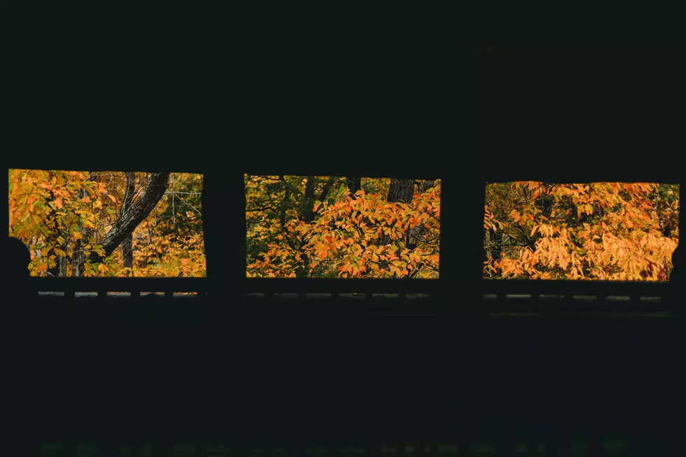 Photo by Steven Van Elk on Unsplash