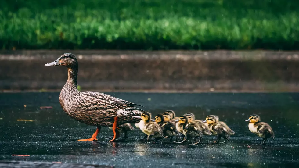 Photo by Vlad Tchompalov on Unsplash