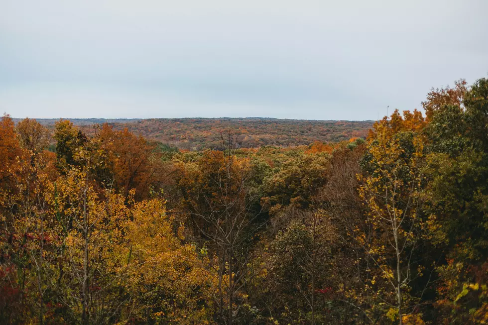 Indiana is Home to the ‘Little Smokies’ Here’s the Best Time to Visit for Peak Fall Foliage