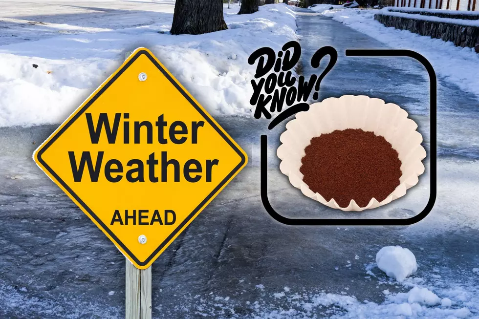 Everyone Should Keep Their Coffee Grounds for the Upcoming Indiana Winter