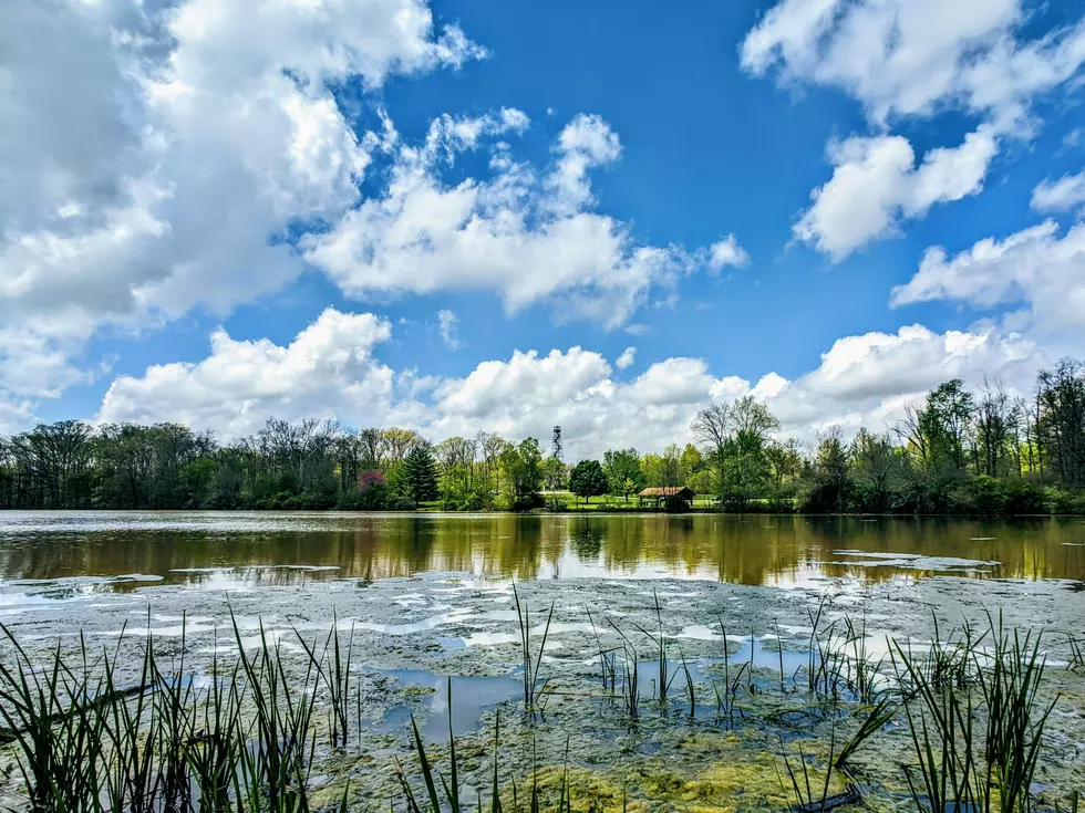 Get Into Indiana State Parks for Free on May 4th
