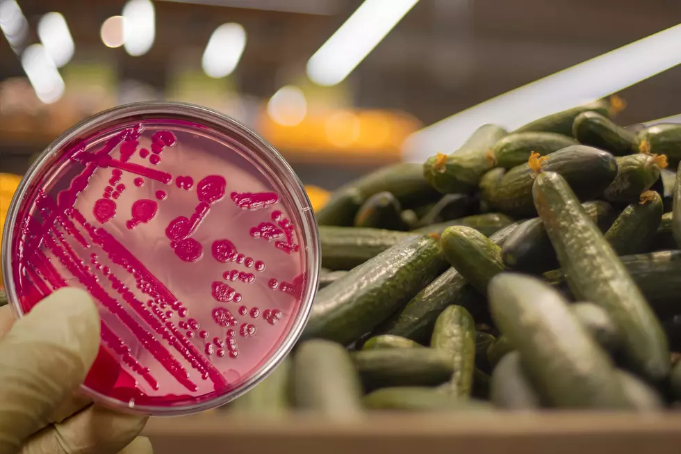 Five People in Illinois and Kentucky Have Salmonella Infection Linked to Cucumbers