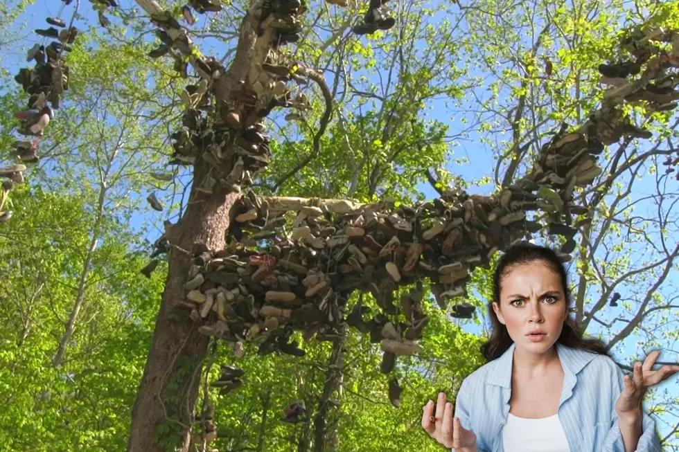 We May Never Really Know Why These Indiana Trees Are Covered with Shoes