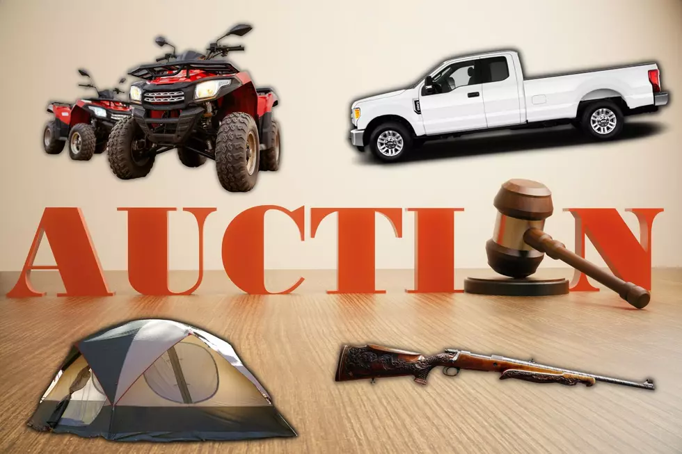 Kentucky Fish & Wildlife Announces Massive Spring Surplus Auction